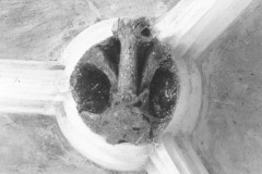 Stopnica.fot_.H.Pieczul008