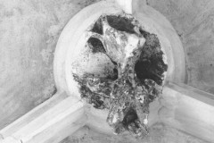 Stopnica.fot_.H.Pieczul011